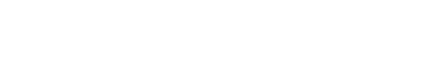 Microsoft Partner